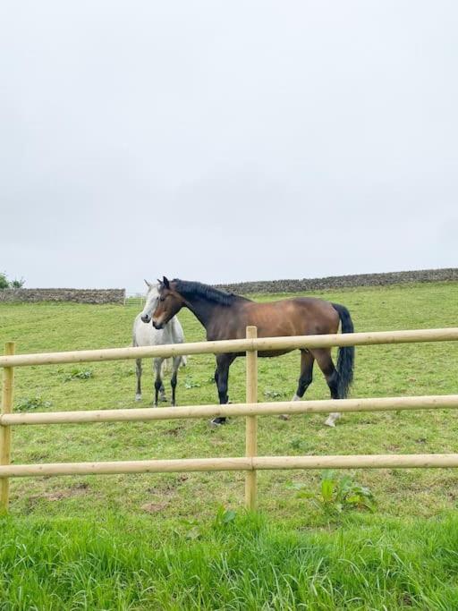 Villa Luxury Detached Peak District Stone Barn - Dog Friendly Hazelwood Exterior foto