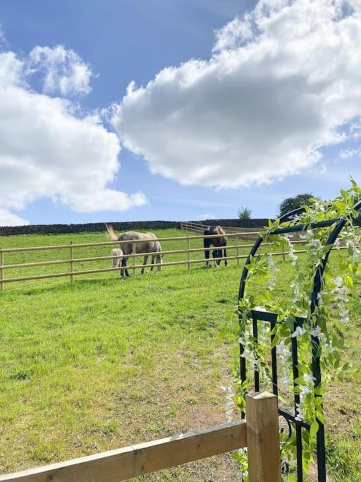 Villa Luxury Detached Peak District Stone Barn - Dog Friendly Hazelwood Exterior foto