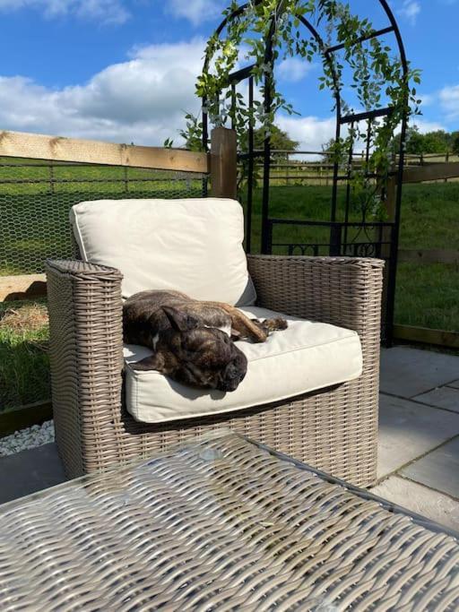 Villa Luxury Detached Peak District Stone Barn - Dog Friendly Hazelwood Exterior foto